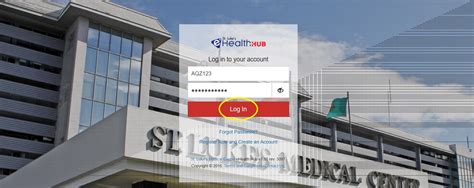 st luke's ehub 2.0 login|ehealthhub.stlukes.com.ph.